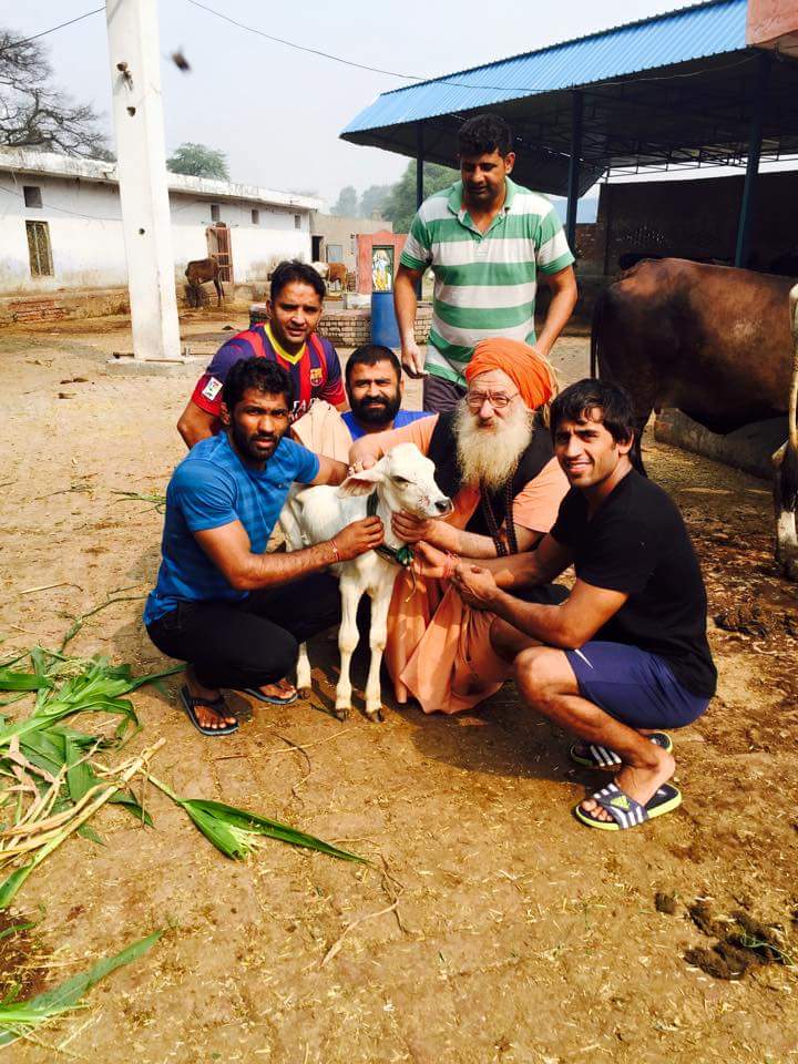 DuttYogi's tweet photo. जिस देश में गाय को माँ का दर्जा दिया जाता है वहीं उसका सरेआम कत्ल किया जाता है।अभी भी समय है सुधर जाओ नहीं तो इसके भयंकर परिणाम भुगतने होंगे https://t.co/W1XA0tvVnX