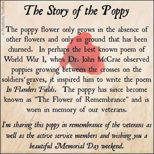 ChiariGear's tweet photo. The #story of the #PoppyFlower on #MemorialDay https://t.co/re8OgBmGN1