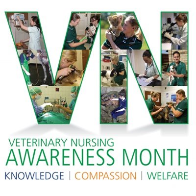 BritishVets's tweet photo. It's National Veterinary Nursing Awareness Month - follow @bvnauk to find out more about the wide range of roles vet nurses do #whatvnsdo https://t.co/np5gI6sKvQ
