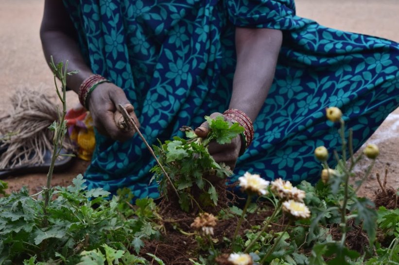 GR_Program's tweet photo. Farmland is rapidly being developed in Bangalore. How are farmers coping? 
https://t.co/nCiMVnin8O by @MegDevlinn &amp; @RoTomJo #irpcities https://t.co/fQXcUlLLp5