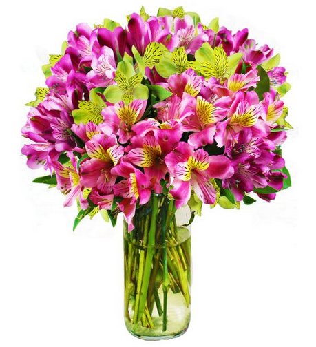 Avas Flowers 💐 (@AvasFlowers) | Twitter