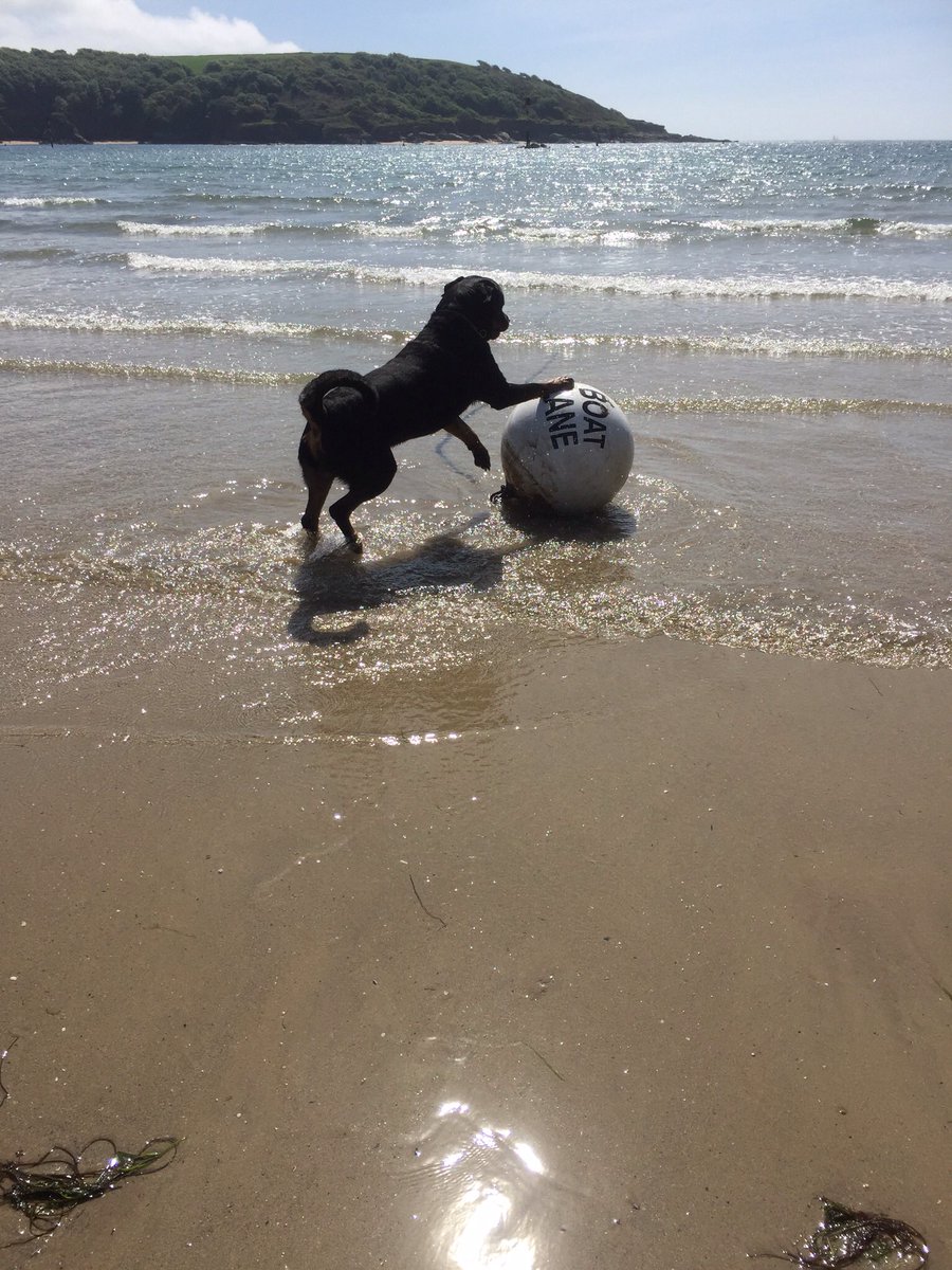 suggs_andicfc's tweet photo. Playing football on the beach! https://t.co/pMuuuLHgBe