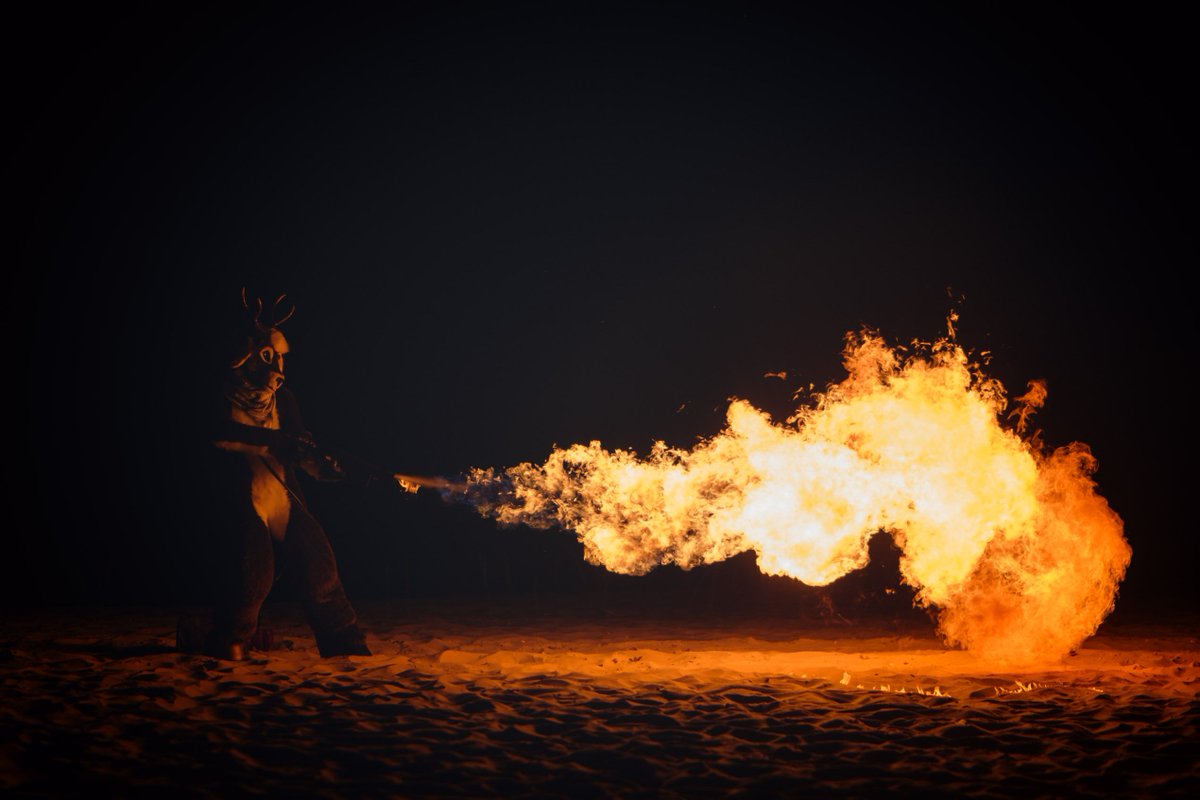 fur_jimmer's tweet photo. And one shot from this https://t.co/7OyTLtXY6m video i think best #WUFF2017 deer photo ever by @khakidoggy โค๏ธ https://t.co/2vK0lFcDFZ