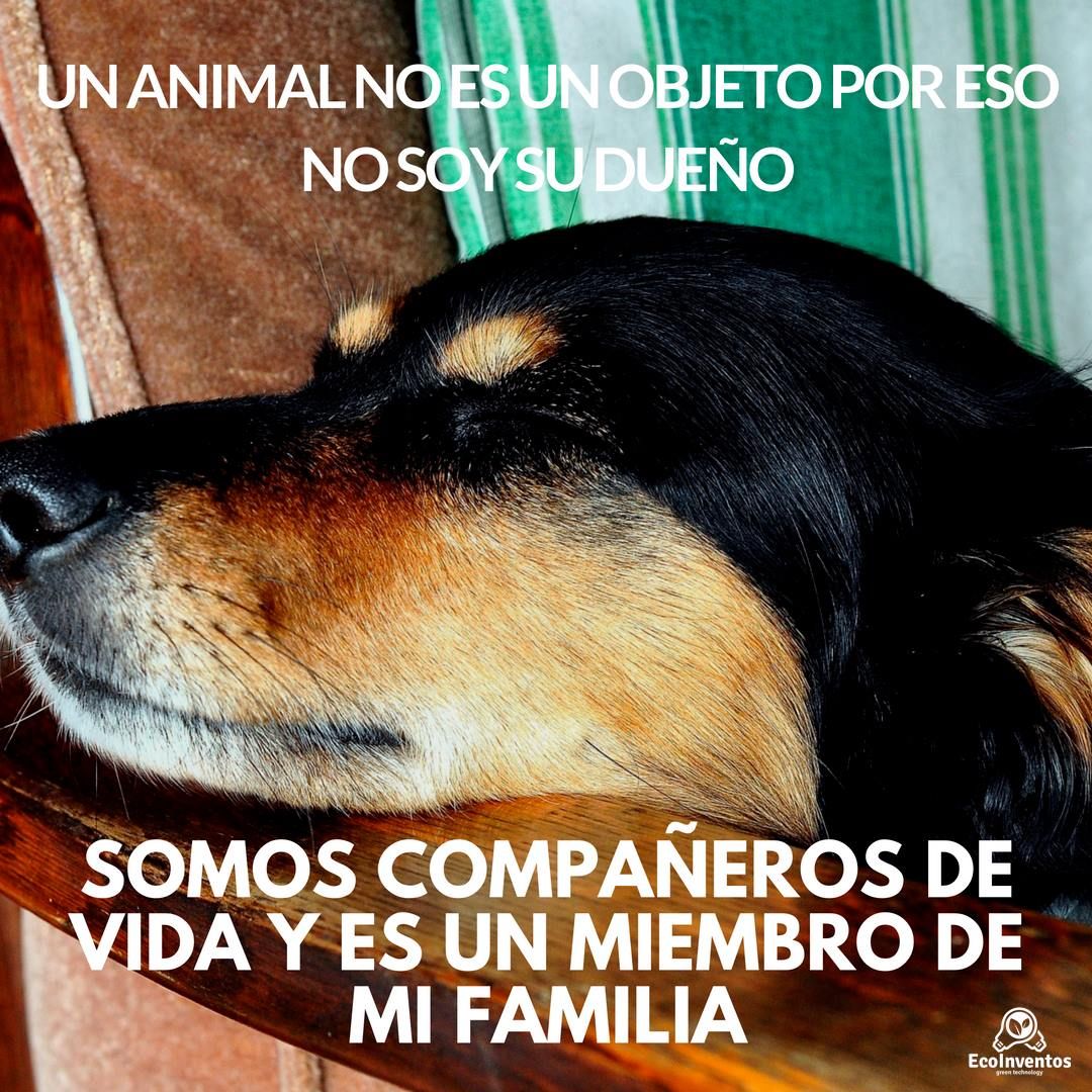 GEDVAnimal's tweet photo. https://t.co/G6rmkTGis2