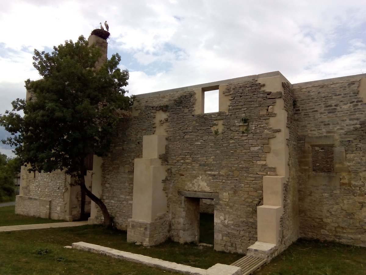 Alava en Tuits tweet media