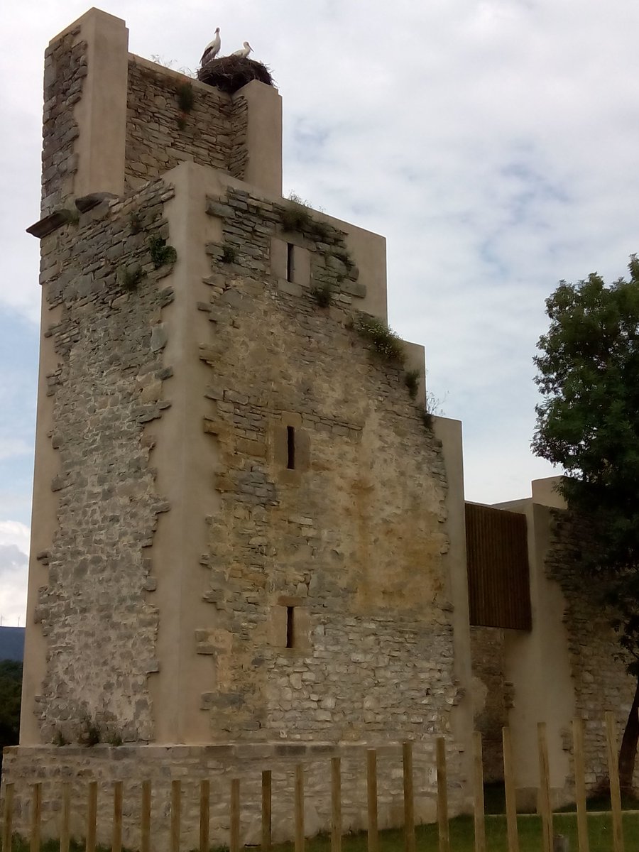 Alava en Tuits tweet media