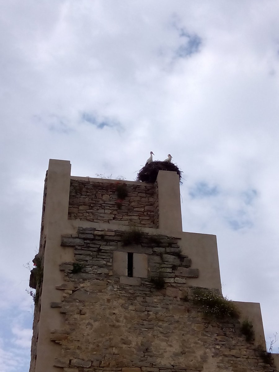 Alava en Tuits tweet media