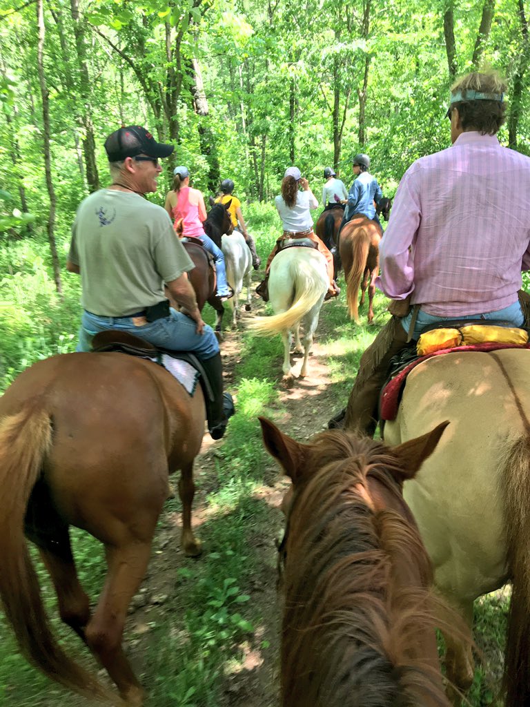 blugrasschatter's tweet photo. Fantastic day trail riding out at Shakertown!! From #OTTBs to polo ponies and quarter horses everyone finished the day happy! #beautifulKY🎉🐴 https://t.co/LP4kXbLQDI