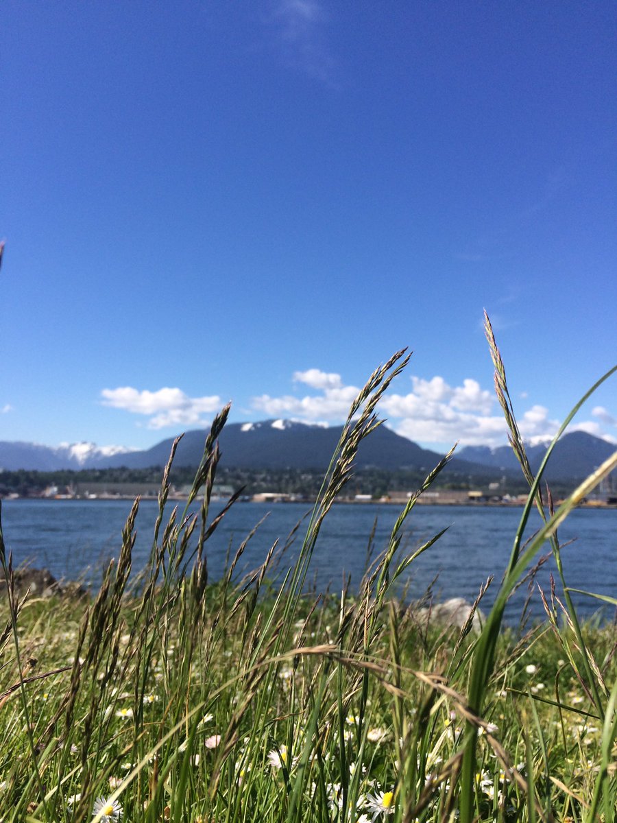 JenniferAnnRog1's tweet photo. Beautiful New Brighton Park! #BeautifulBC #VancouverBeaches #lovewhereyoulive https://t.co/1dOVzKO1eu
