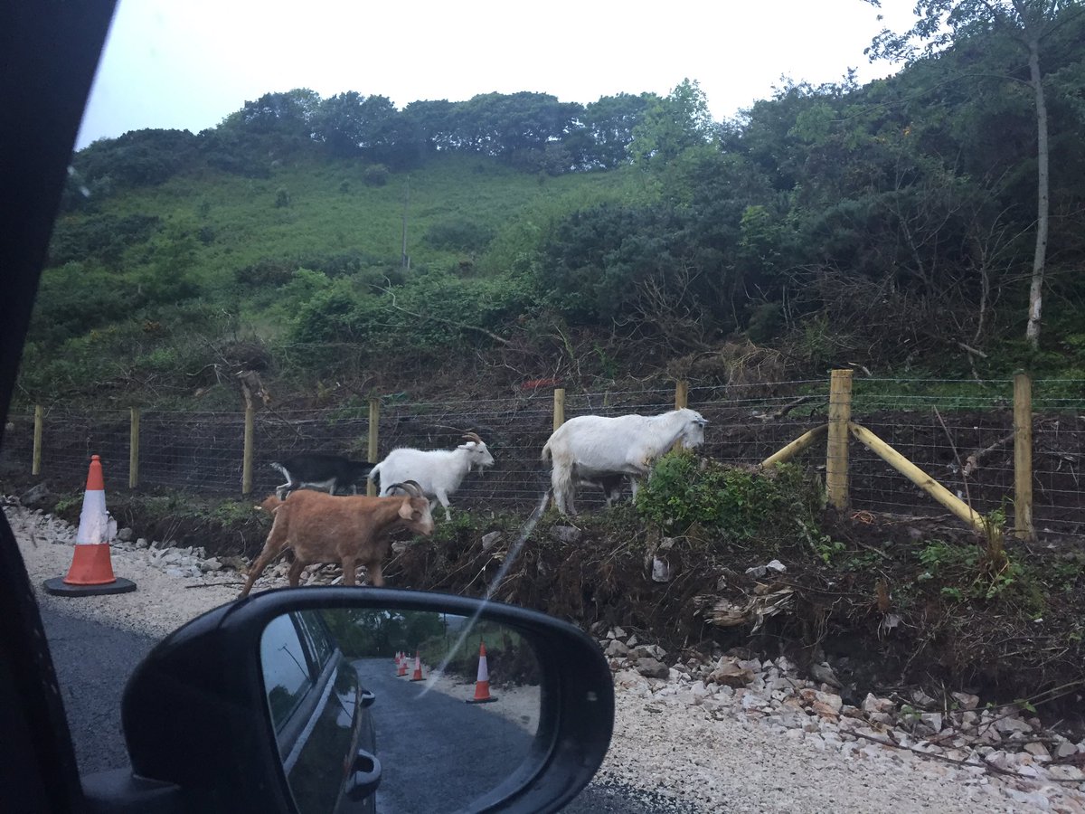 aoifemcelwaine's tweet photo. Tranglam Trachta #trafficjam i bhFánaid anocht #Cnocnaboirne #Murrin #gabhair https://t.co/b20Xvr5JTa