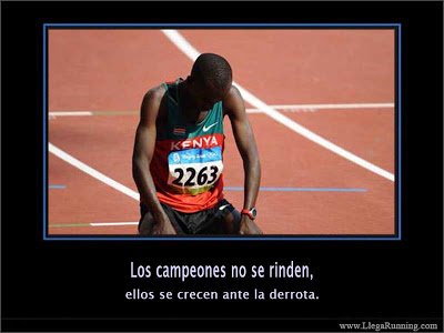 goforrun's tweet photo. @ldricardogomez 
#Atletismo2017b  .35 https://t.co/sSDyf5Ovhv
