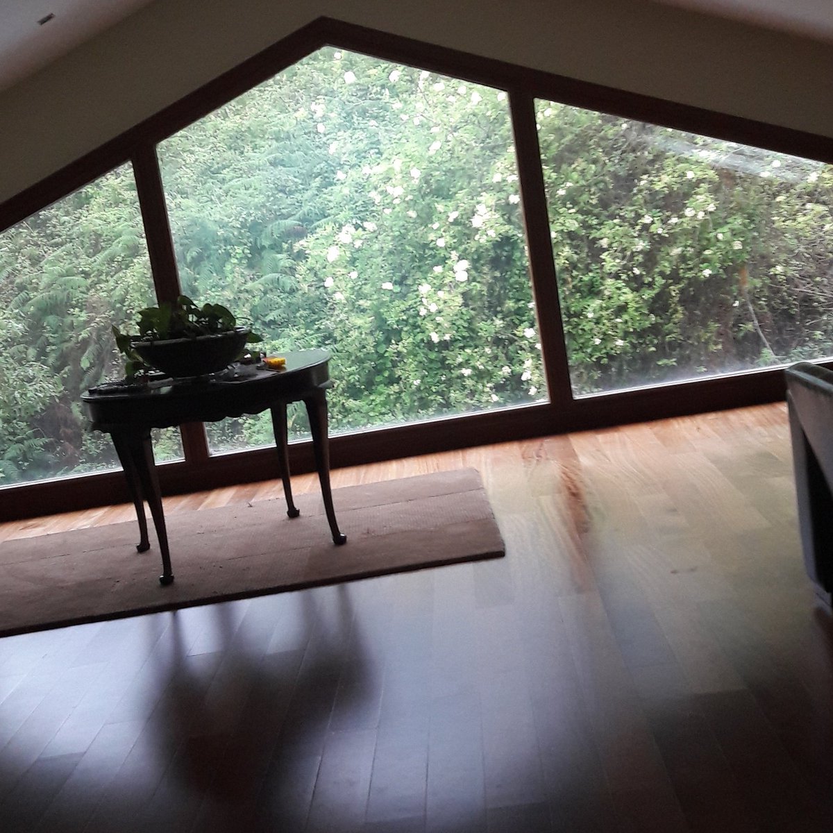 pachocamino's tweet photo. ..pernoctando en #miscosillas _ ventanal al bosque en #casacaleidoscopio #ElOtero #Naveces #castrillón #asturias #arquitectura #archilovers https://t.co/NSaowPTUTe