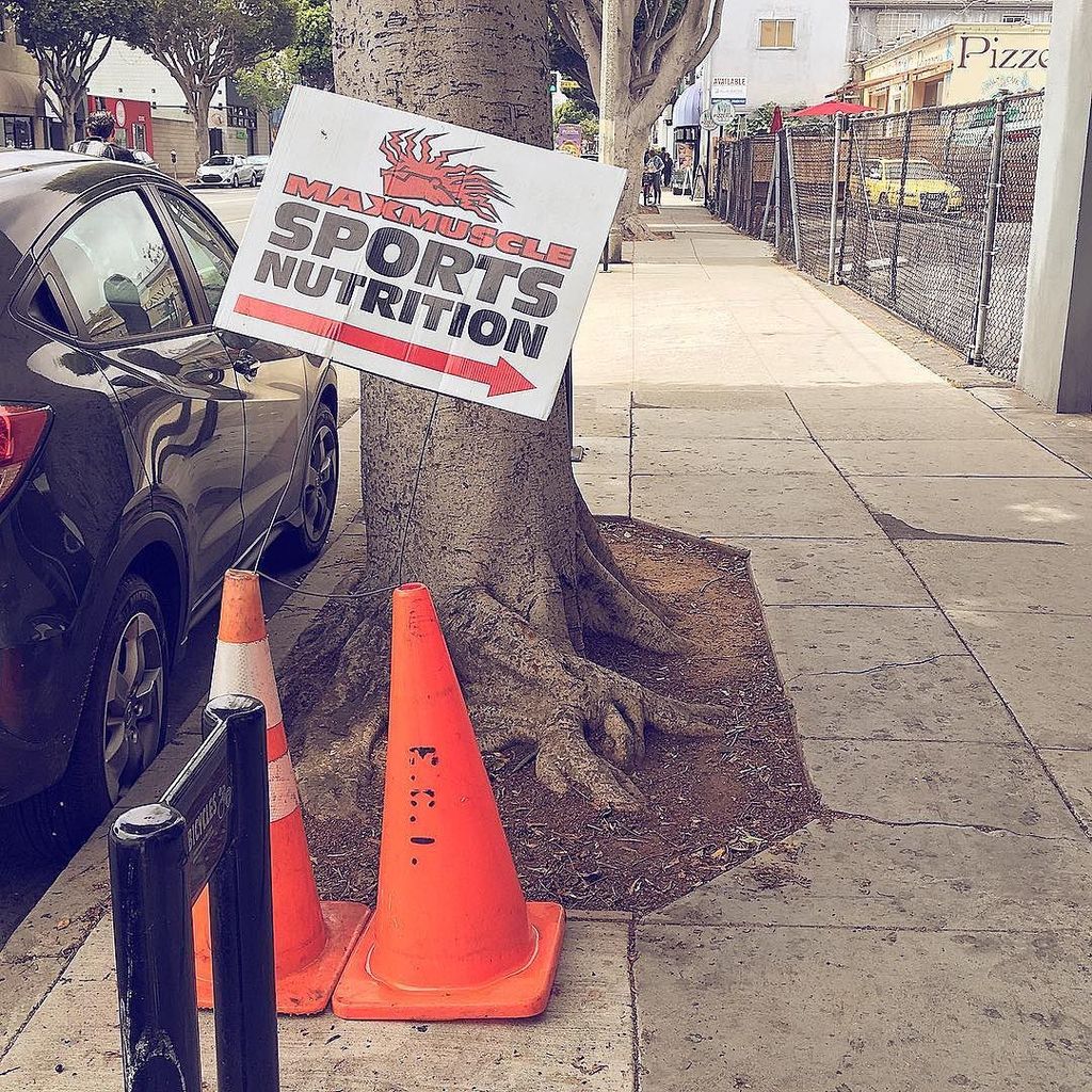 Shit_Sign's tweet photo. ⚠️ Ingenious cone &amp; wire combo used to mount this #shitsign

#shitsigns #santamonica https://t.co/Zz5AjyVia5 https://t.co/LGPrm3qE22
