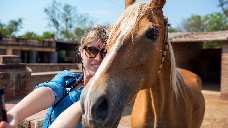 GeckosTales's tweet photo. Interested in a career in travel writing? This is a good place to start... https://t.co/m2VvdHyaog https://t.co/3JqdSj0hBl