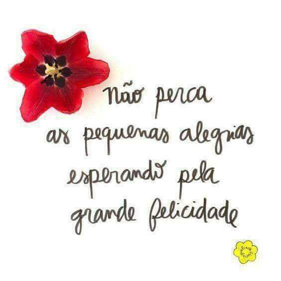 x.com/Jessikalorrayn…
pin.it/2kml5Be 
"Boa noite" 
 #Me#segem  #Sigo#Devolta #SouBeta