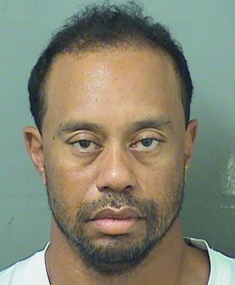 gjubert22's tweet photo. Walking into Wegmans vs walking into Tops https://t.co/b3WvjruMyO