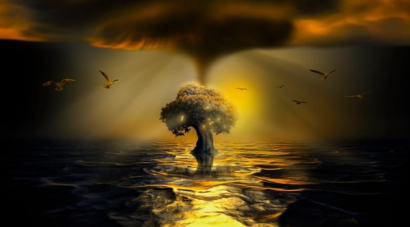 noveliciouss tweet picture