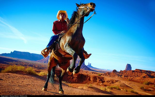 Lyons_Gate_Farm's tweet photo. 7 Tips For Riding A Spooky Horse
https://t.co/8FeoDvMnYx
#lyonsgatedresage #lyonsgatefarm #spookyhorse https://t.co/98fkqRyz6p