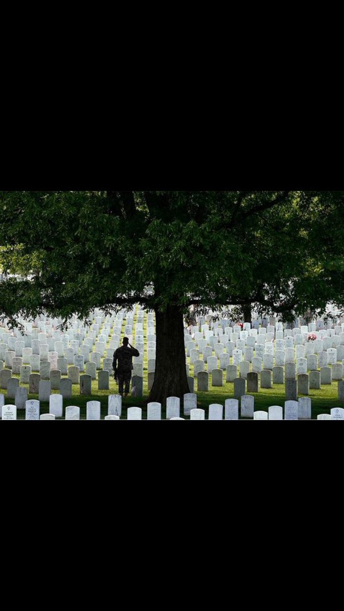 Thank you to all the men and women who serve and have served this great country!