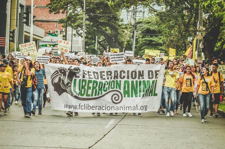 TerryHurtado's tweet photo. Esperamos vote acorde al clamor del Valle del Cauca #ApruebenLeyAntiToreo @anacristinapazc @PartidoVerdeCoL @fdlanimal @COLSinToreo https://t.co/sMP6IkdeKW