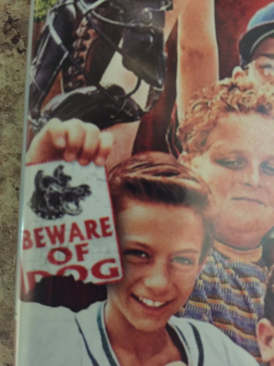 MattShick's tweet photo. My 11 yr old brings The Sandlot DVD case in and says, "there's the dog on your @therickyjohnson (replica) helmet" . Crazy! https://t.co/yAMI6NgKjT