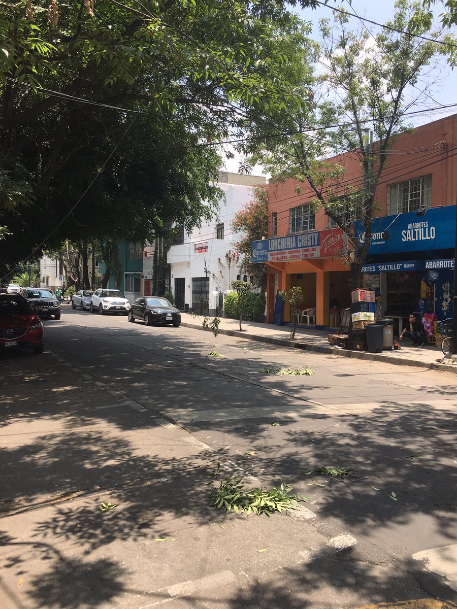 retioDF's tweet photo. Cayó una rama en alfonso reyes y saltillo, condesa. hay cables de teléfono c… https://t.co/uNRtLAQd7y —@juliovaldi85 https://t.co/r2kWTGcOrZ