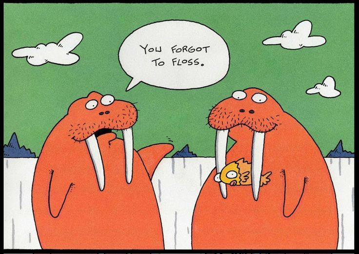 AsproBright's tweet photo. Don't be that person, pair Aspro Bright with flossing to achieve a healthier #smile! Shop https://t.co/QRlTzim5Bv. #whiterteeth #smilebright https://t.co/AZmebVE9WD