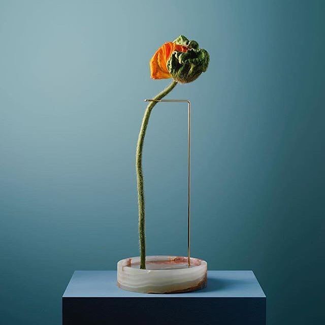 waltzstudio's tweet photo. Such a simple and beautiful idea these "posture vases" from @blocstudios x @carlkleiner rg @blocstudios https://t.co/SYgIhZq23G https://t.co/Ki4eQZsCMg