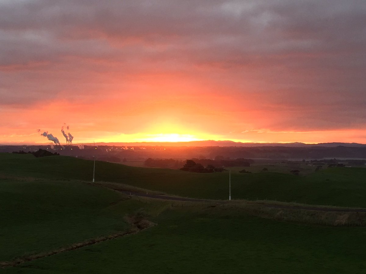 kiwifarming's tweet photo. First morning here! #1June2017 nearly here #nofilter https://t.co/ixlZFKAlEy