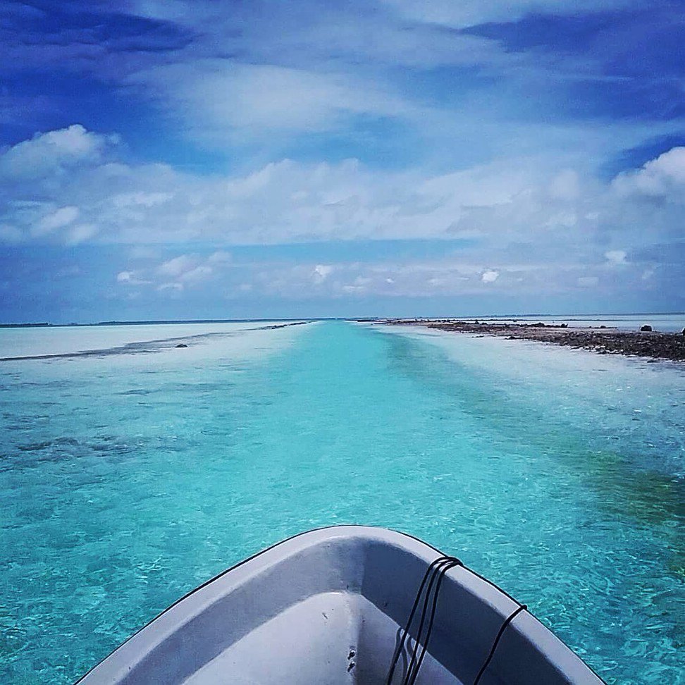 Dim_Bac's tweet image. Here in the Pacific, we're kind of used to the two B's: beach and boat! 🌊🚣