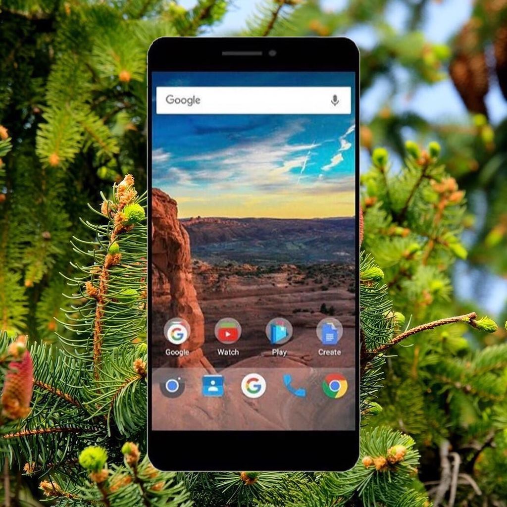 River Phone tweet media