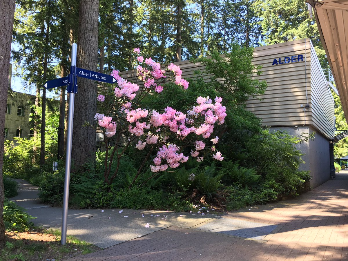 Tantalusrange's tweet photo. Beautiful Spring blossoms on Cap U's North Van grounds thanks to our dedicated gardeners & grounds keepers #iluvcapu #NorthVan #gorgeous https://t.co/TWFdCye5Mi