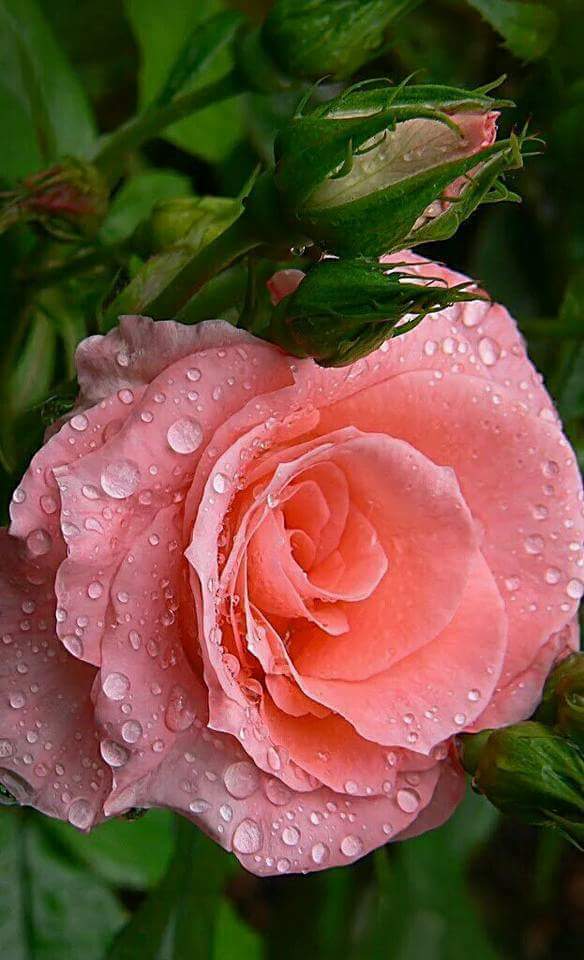 NJRddSCqbQLaDFC's tweet photo. S https://t.co/ZIetZz2lR3