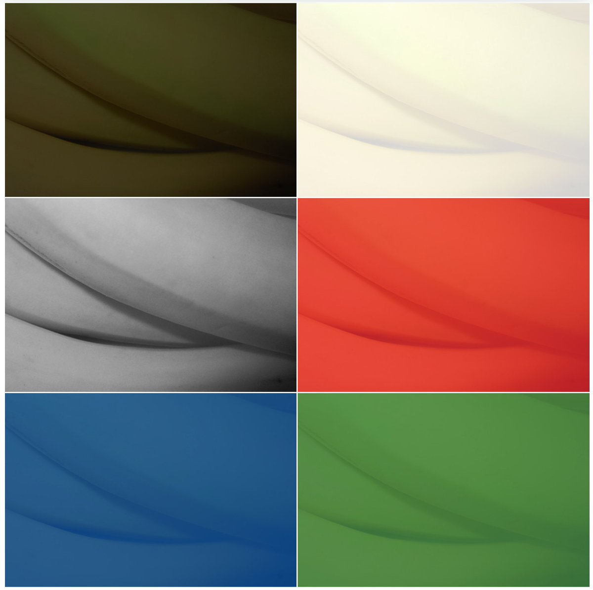 TextureSuite tweet picture
