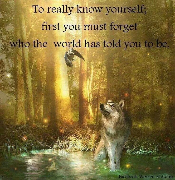 abelsweb's tweet photo. Forget who the world has told you to be!

RT - Image via @iaskyouy https://t.co/CTkDWSqM6z