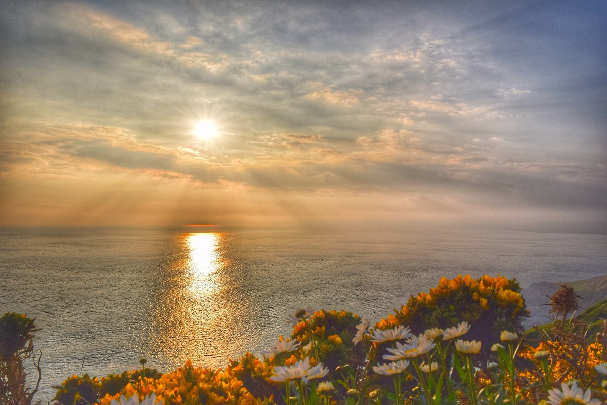 WhitsandBay's tweet photo. Stay @WhitsandBay enjoy the Rame Peninsular;
Relax on the terrace and watch the sun as it dips into the sea.
#cornwall #holidays https://t.co/PcnyB5IeoI