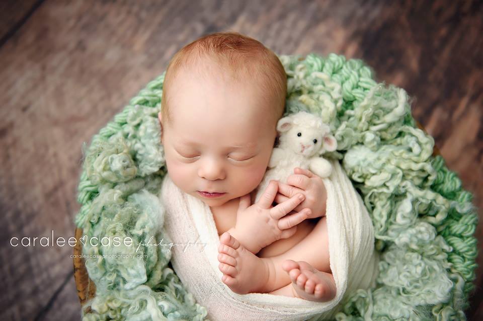 CreativeCaptur1's tweet photo. So sweet and snuggly!
#Baby #Newborn #NewbornPhotography #BabyPhotography #CaraleeCasePhotography #Timeless #Contemporary #Vibrant  #Love https://t.co/I7wpvLCvvq