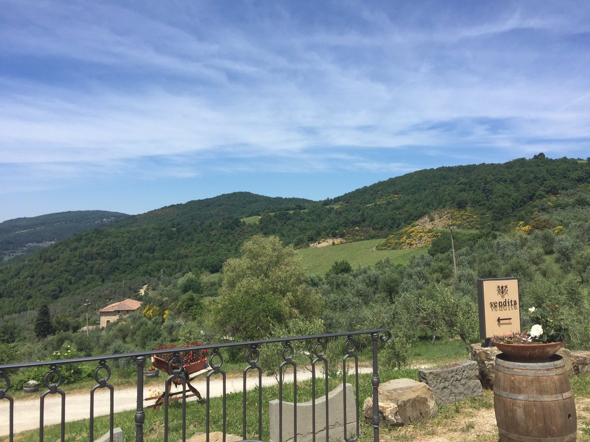 Our family winery <a href="/TenutaLaNovella/">Tenuta La Novella</a> wines in #BottegaP #Firenze
