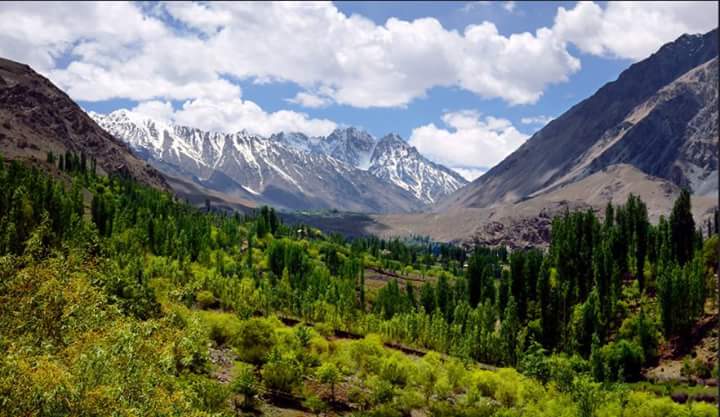 EcoVibeExplorer's tweet photo. #PhandarValley situated 61 km from #Gupis #Ghizer #GilgitBaltistan #BeautifulPakistan. #BeautyofPakistan #MyBeautifulPakistan #Geotravellers https://t.co/i01ohf4hsg