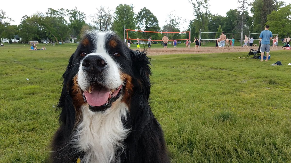 OzzyBMD's tweet image. #igotnext @LakeCalhoun @sinjin_smith @nlbeachvolley