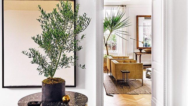 La beauté des plantes est qu’elles peuvent s’harmoniser dans tous les décors: bit.ly/2naXabY