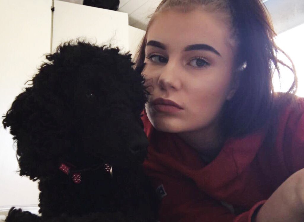 johnsonchick_'s tweet photo. #selfieforjackandjack #selfieforj&amp;j IT IS SO GOOD TO BE BACK AT TWITTER OMG! Me and my boyfriend's dog are so happy to be back in the fandom https://t.co/AE2gztmWDm