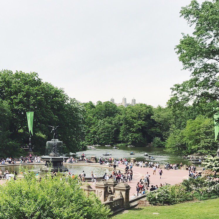 MaMeMimaNY's tweet photo. Today was rainy but yesterday was a gorgeous day #sundayinnyc #staycation #anniversaryweekend #centralparkmoments … https://t.co/DZ4j2YeibS https://t.co/kDZeI0hold