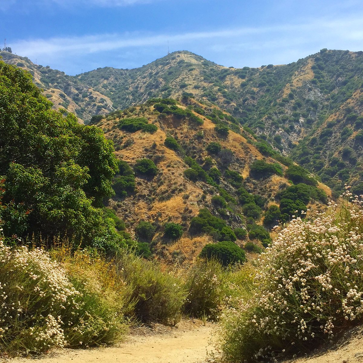 Breann Johnson tweet media