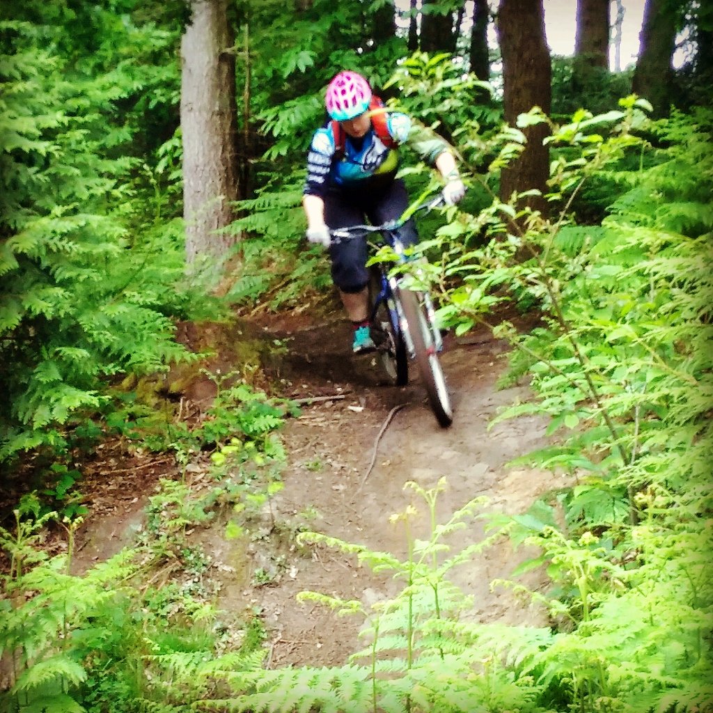 icklemare's tweet photo. Great muddy morning at #fod sessioning the #minidh 🚲 #mtb #sheepskull #skirun #ridebtr #ignitor https://t.co/cJk1tkx0tb