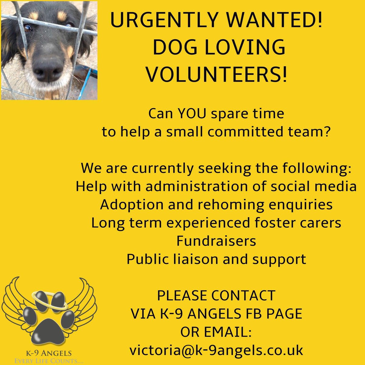 victoriak9angel's tweet photo. #help needed #volunteers @TheK9Angels @VeggievisionTV @POLASINGER @Doodlecrafter @Rebecca_smith66 @Lucy_Cavalier @CompanionDW @dogworldnews https://t.co/B9PTTXGHVJ