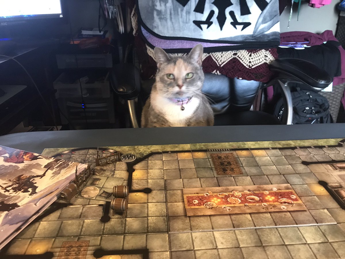 Farore_RPG's tweet photo. Hah, it would seem that I've been replaced as dungeon master. My poor players don't stand a chance 😂😼#dnd https://t.co/NrHPQr9eT4