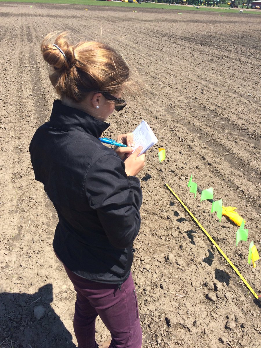 PremierEquip1's tweet photo. #farmerkaye @Premier_ISTeam has 🌽poppin up in rows #premierdemofarm is growing! #plant17 successful ✅ #precisionag #ontag @JohnDeere https://t.co/e5KAMHwnpr