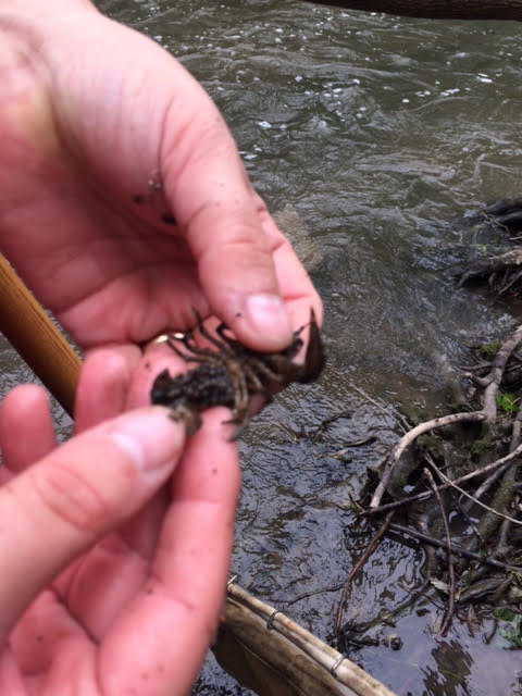 daysin3rdgrade's tweet photo. We went on a field trip to the @chicagoriver last week. We learned lots about the river and macroinvertebrates. We had a great time! https://t.co/6ZwCtAle6M