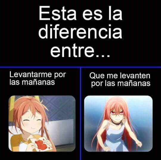 Un_mundo_otaku's tweet photo. No me levanten nunca 😑 https://t.co/8RrcI5OMML